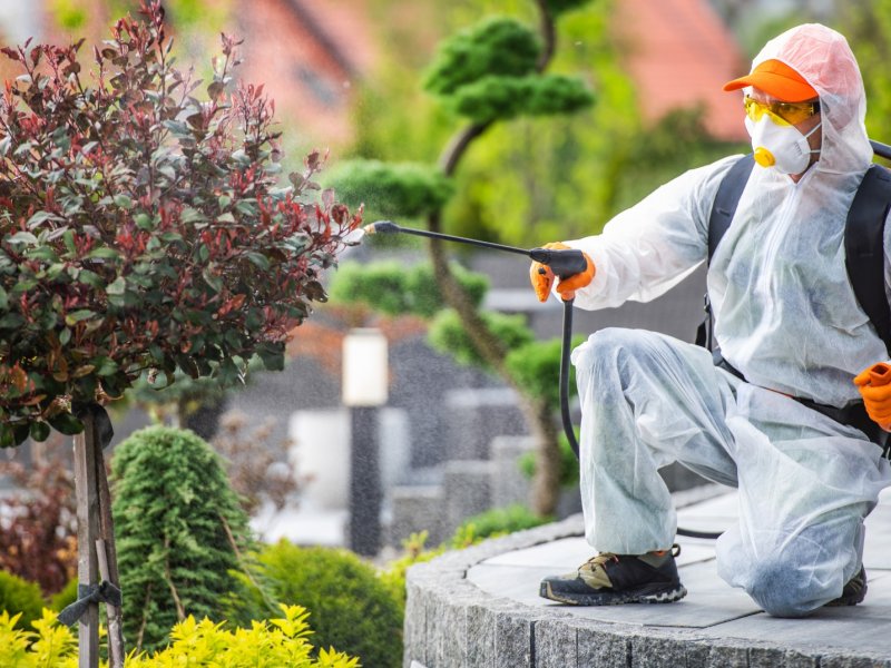 Haymana Haşere İlaçlama